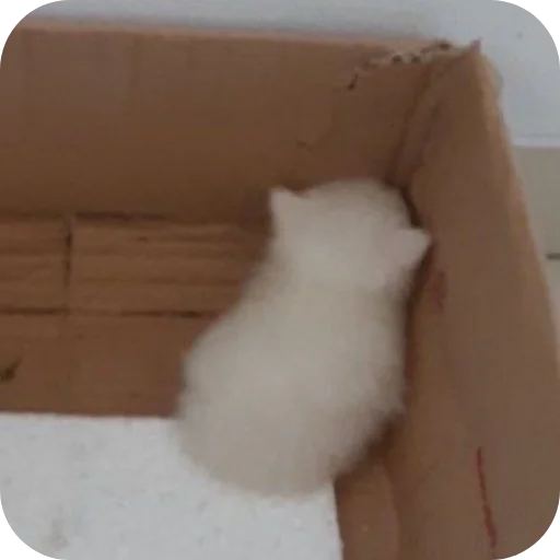 Что сказать ? - 