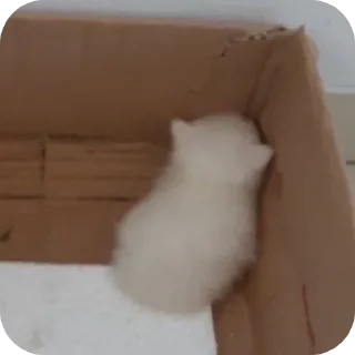 Sticker Что сказать ? - 10