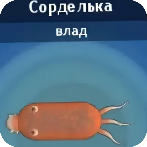 Sticker CHtoTo4918 - 1