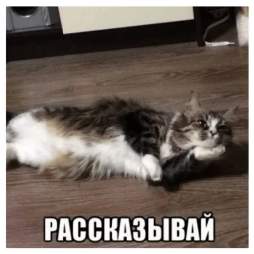 Sticker CHtoTo9831 - 1