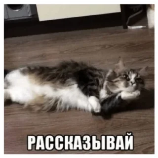 Стикер Что то - 2