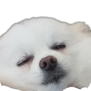 Sticker Чухня - 3