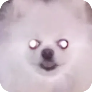 Sticker Чухня - 1