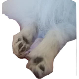 Sticker Чухня - 10