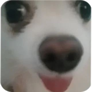 Sticker Чухня - 8