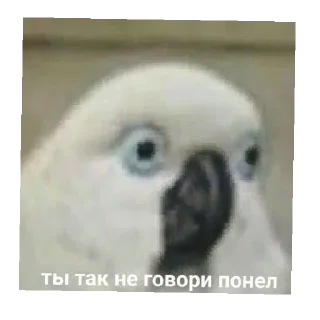 Sticker Чурка - 0