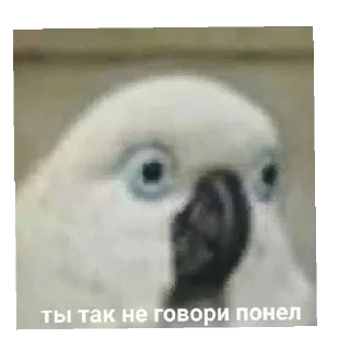 Sticker Чурка - 8