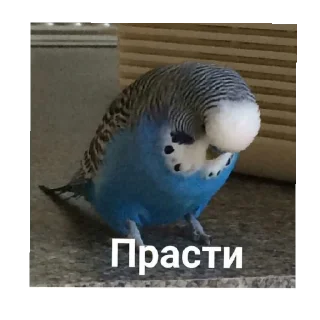 Sticker Чурка - 11