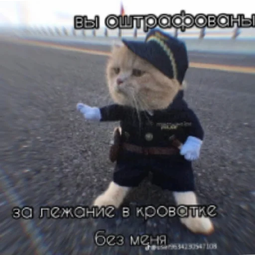 Стикер CHzh582 - 1