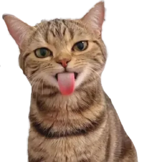 Sticker Быть Татой - как иск by @stqrapp - 2