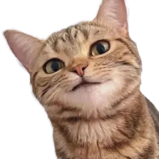 Sticker Быть Татой - как иск by @stqrapp - 3