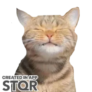 Sticker Быть Татой - как иск by @stqrapp - 8