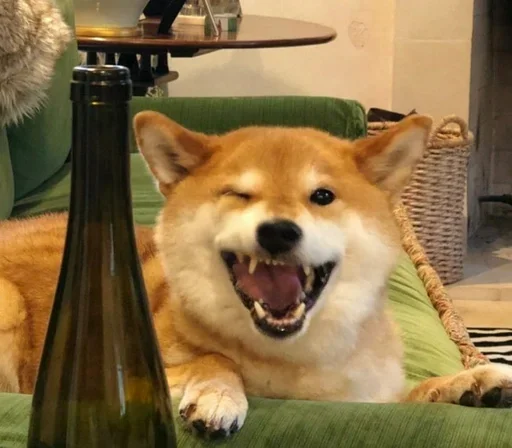 Sticker CJPNwhBTgH_by_WeStickerbot - 1