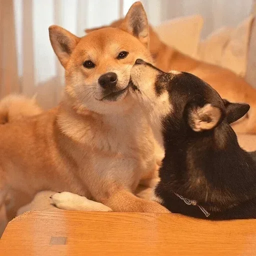 Стикер CJPNwhBTgH_by_WeStickerbot - 1