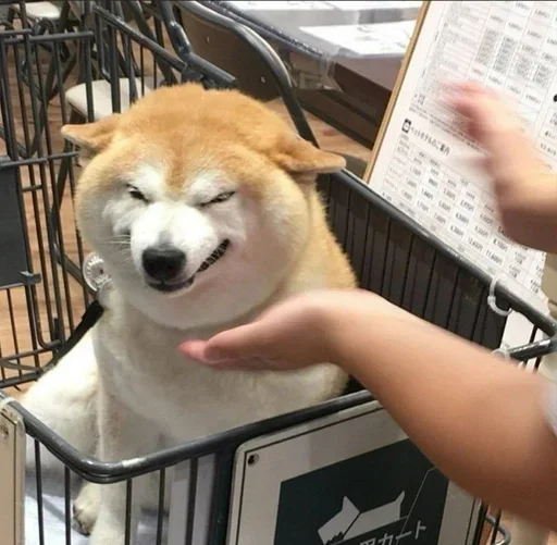 Стикер CJPNwhBTgH_by_WeStickerbot - 1