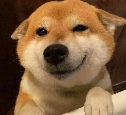 Стикер CJPNwhBTgH_by_WeStickerbot - 1