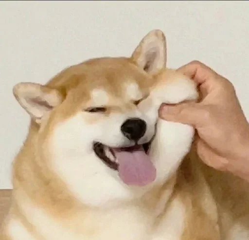 Sticker CJPNwhBTgH_by_WeStickerbot - 1