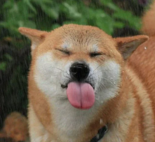 Стикер CJPNwhBTgH_by_WeStickerbot - 1