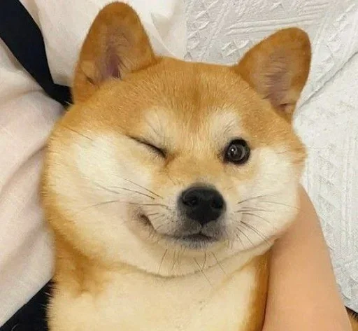 Стикер CJPNwhBTgH_by_WeStickerbot - 1