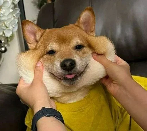 Стикер CJPNwhBTgH_by_WeStickerbot - 1