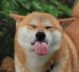 Стикер 🦄 Каталог 👉 @WeStickerbot 👈 - 8