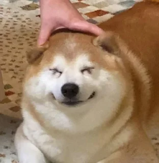 Стикер 🦄 Каталог 👉 @WeStickerbot 👈 - 6