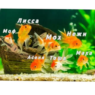 Sticker CLAEMET - 11