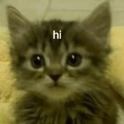 Больше стиков тут: @stikery4 - 