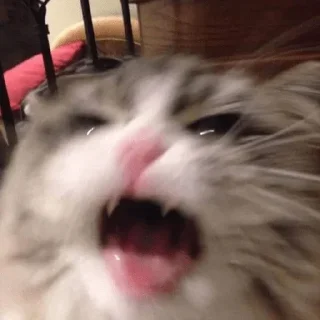 Sticker Больше стиков тут: @stikery4 - 11