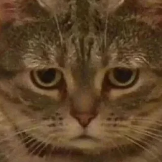 Sticker Больше стиков тут: @stikery4 - 3