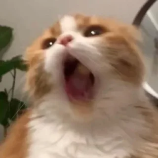 Sticker Больше стиков тут: @stikery4 - 6