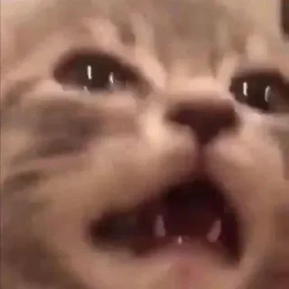 Sticker Больше стиков тут: @stikery4 - 7