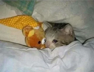 Sticker Больше стиков тут: @stikery4 - 1