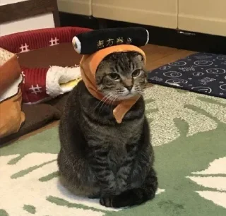 Sticker Больше стиков тут: @stikery4 - 1