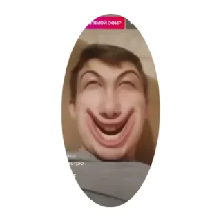 Sticker COLLIN"S - 2