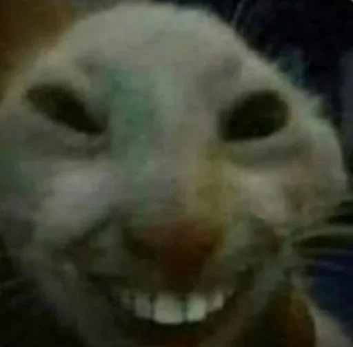 Стикер Collection-YIBR by @FavoriteStickerBot - 5