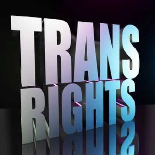 graphics screenshot graphic design