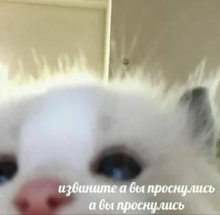 Sticker Мой стикерпак @moyi_stikery_bot - 0