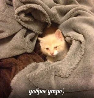 Sticker Мой стикерпак @moyi_stikery_bot - 2