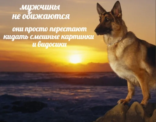 Sticker CRINGEMEMS - 1