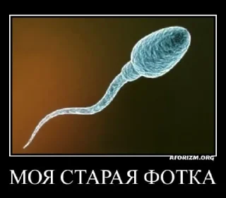 Sticker ЛОКАЛЬНЫЕ МЕМЫ - 0