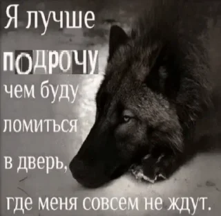 Sticker ЛОКАЛЬНЫЕ МЕМЫ - 2