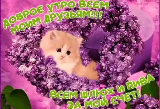 Sticker ЛОКАЛЬНЫЕ МЕМЫ - 11