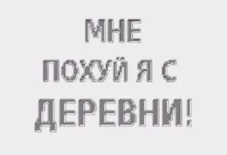 Sticker ЛОКАЛЬНЫЕ МЕМЫ - 8