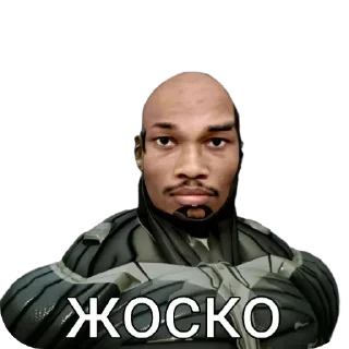 Sticker CRYSIS MEMES - 9