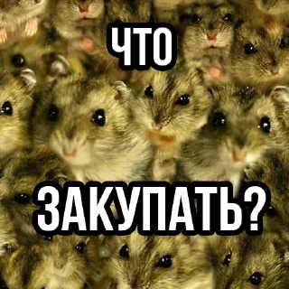 Sticker t.me/MrTwisterInvesting BASE INVESTOR PACK - 8