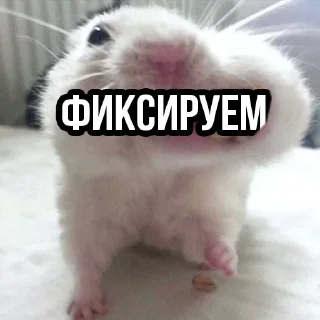 Sticker t.me/MrTwisterInvesting BASE INVESTOR PACK - 7