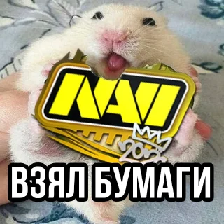 Sticker t.me/MrTwisterInvesting BASE INVESTOR PACK - 4