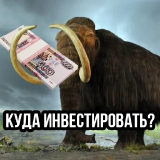 Sticker t.me/MrTwisterInvesting BASE INVESTOR PACK - 10