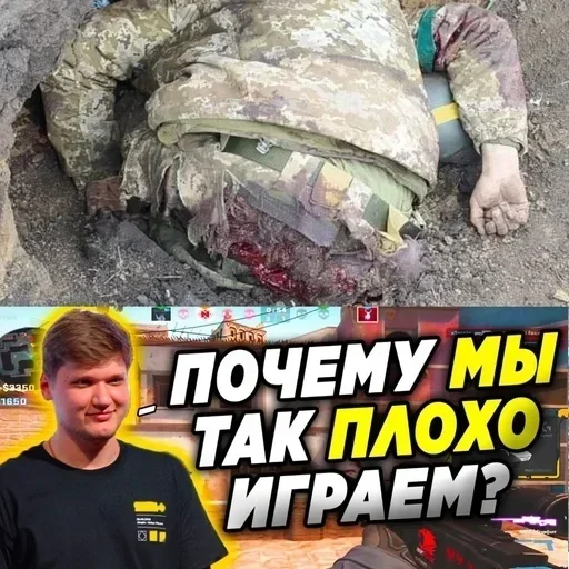 Стикер CTXsvinorez - 1